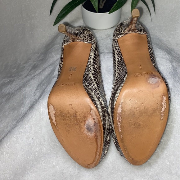 Coach Selma Python Pumps - Picture 8 of 12